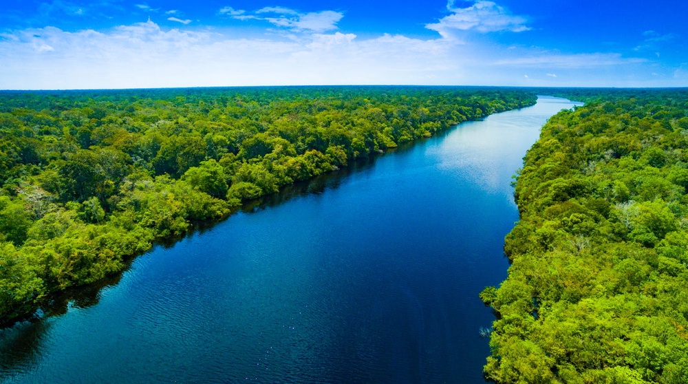 The Amazon basin has an area of around 2.7 million square miles (Getty/iStock)