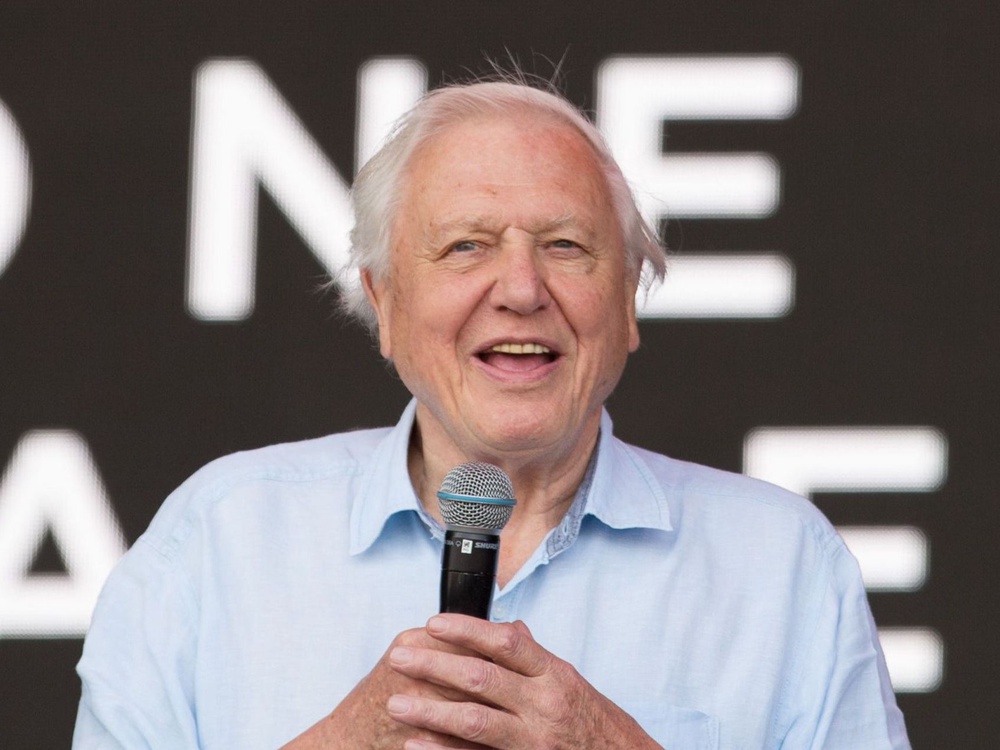 David Attenborough addressing the Glastonbury crowd in 2019 (Maja Smiejkowska/Shutterstock)