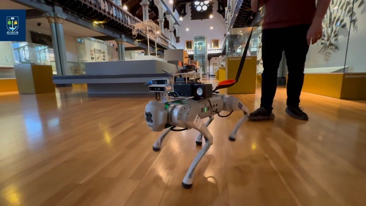 Robot Dog Powered By Ai Developed To Guide Visually Impaired People Robot Dog Powered By Ai Developed To Guide Visually Impaired People