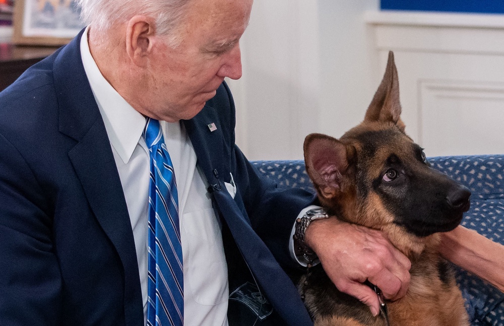 Joe Biden pets his dog Commander (AFP via Getty Images)