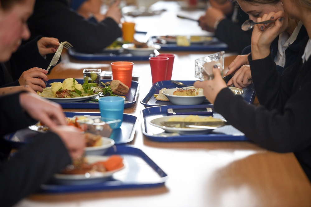 224 schools were found to provide meat products such as burgers, nuggets, sausages and goujons more often than the twice a week (PA)