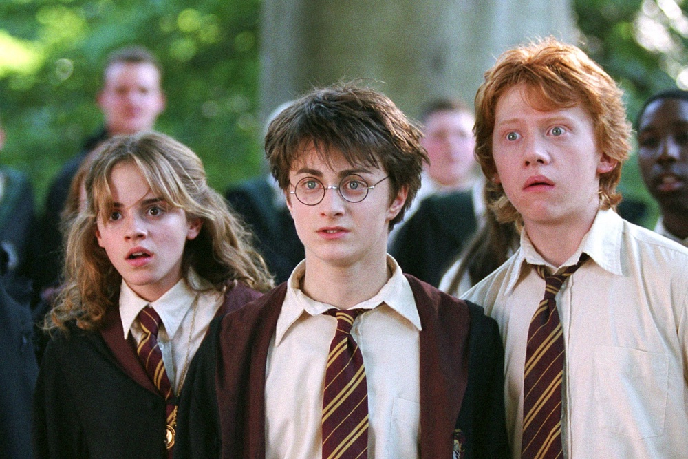 Davis starred alongside Daniel Radcliffe (centre), Emma Watson (left) and Rupert Grint (right) in the films over a 10-year period (Warner Bros)