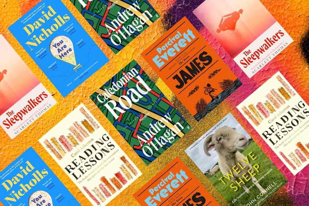 Books of the month: From You Are Here by David Nicholls to James by
