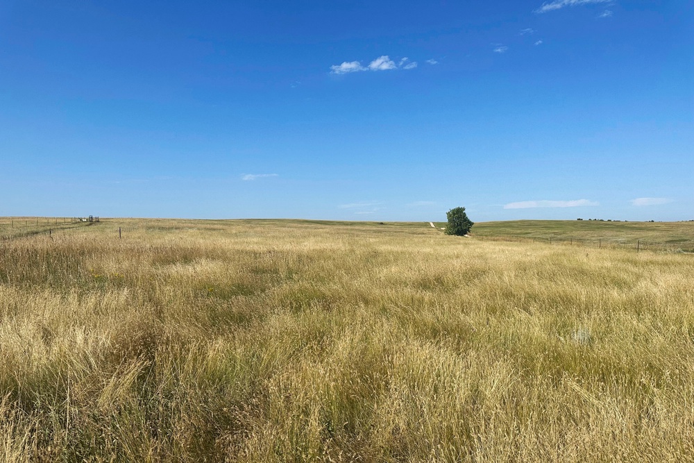 Native American-led nonprofit says it bought 40 acres in the Black ...