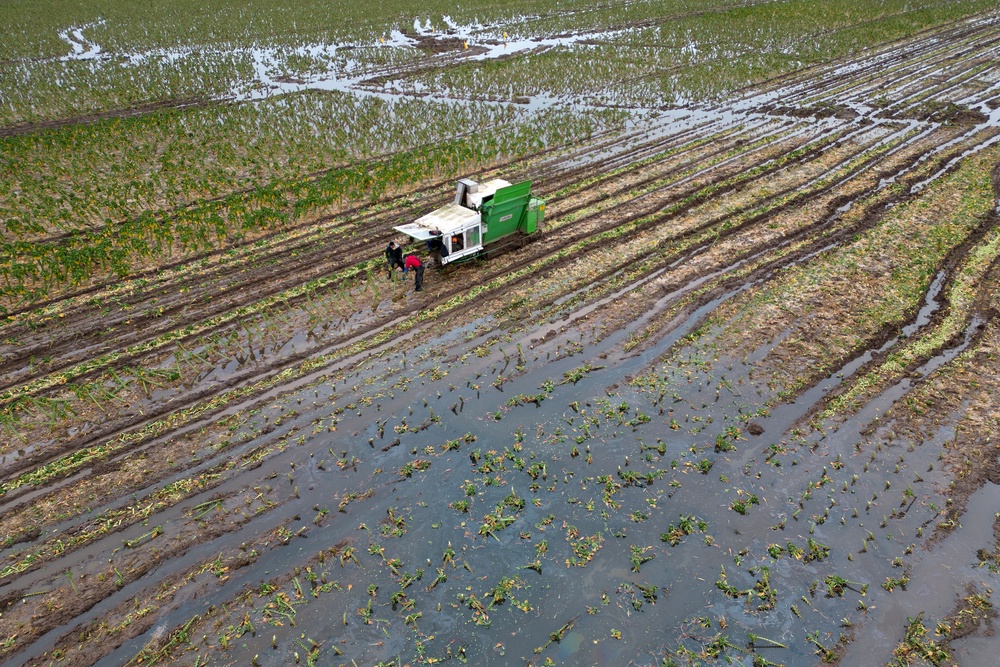 Flooding on a farm near Boston, Lincolnshire, which is a Reform UK constituency (Joe Giddens/PA) (PA Wire)