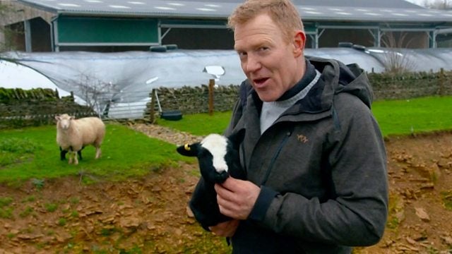 Adam Henson on ‘Countryfile’ (BBC)