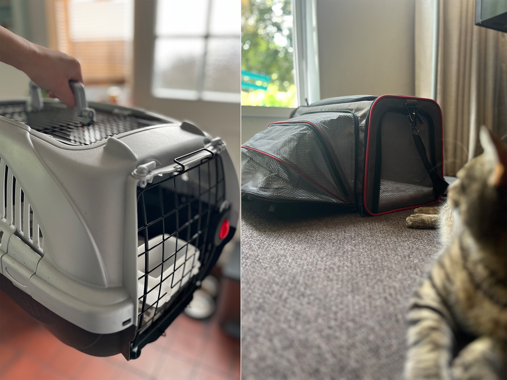 It was all paws on deck when it came to testing the carriers (Lois Borny)