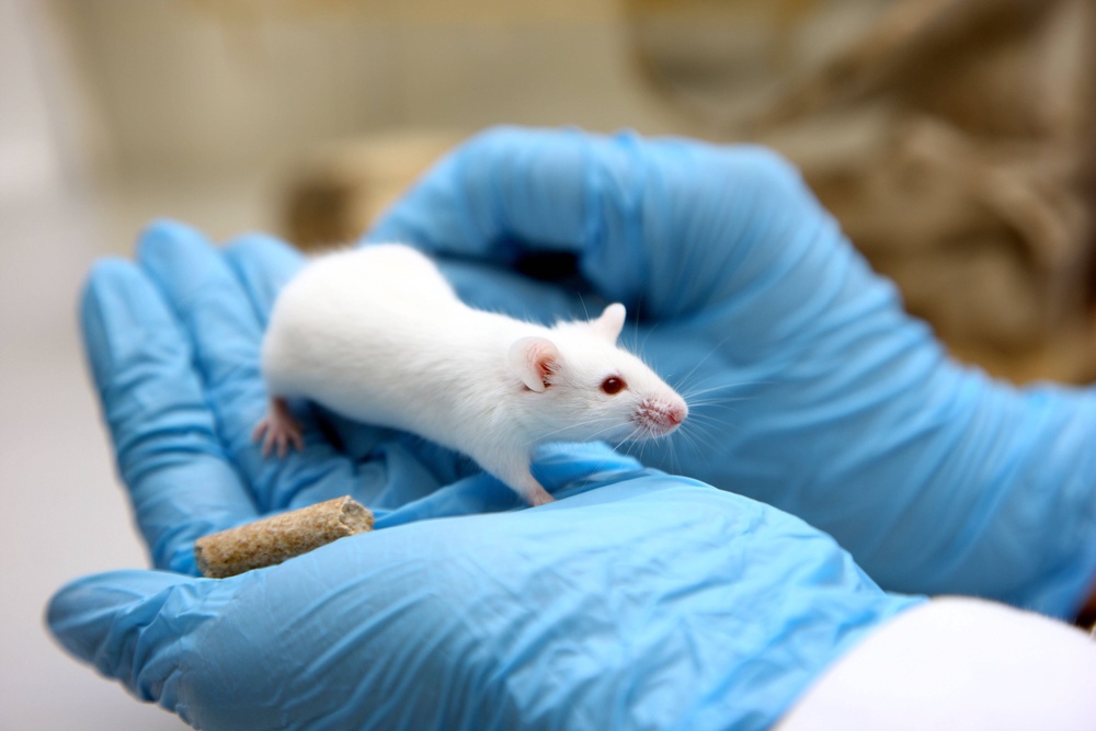The landmark study showed SORLA protected cognitive function in mice ((Alamy/PA))