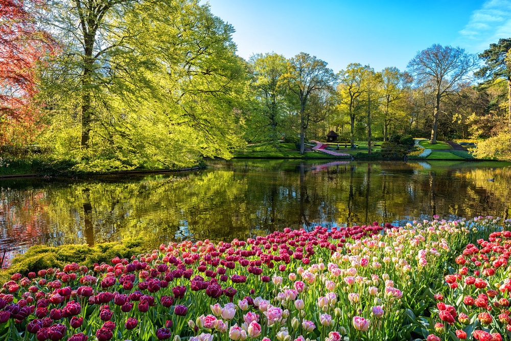 Step into spring at the Keukenhof gardens in the Netherlands (Getty Images)