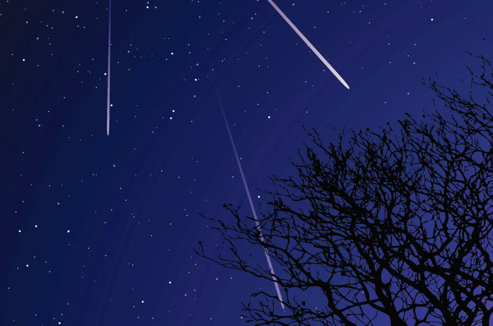 The Orionid meteor shower is known as a particularly reliable meteor shower (iStock/ Getty Images)