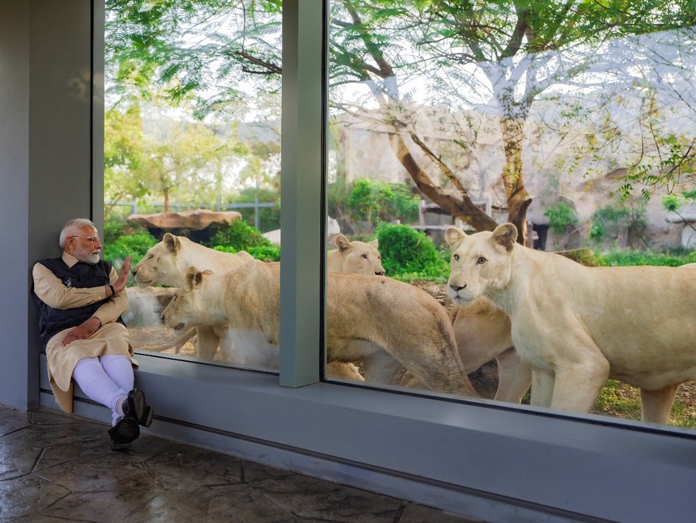 Animal rights group calls for investigation into Ambani’s private zoo ...