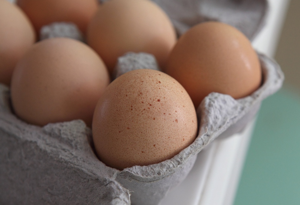 There was also a salmonella outbreak this summer linked to eggs, with reports of nearly 100 people in 17 states getting sick (Getty Images)