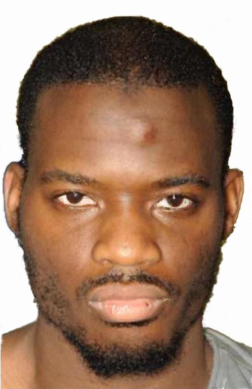 Michael Adebolajo killed British soldier Lee Rigby in 2013