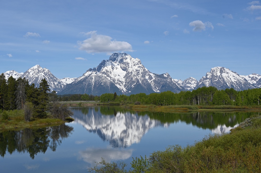 The rare orgamism was also found at Grand Teton National Park (AFP/Getty)