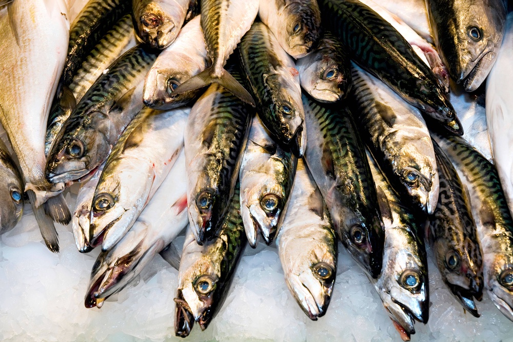 Mackerel’s sustainability rating has worsened in the face of overfishing (Alamy/PA) (Local Library)
