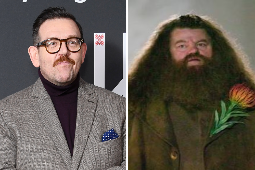 Nick Frost will play Hagrid, who was originally played by Robbie Coltrane (Getty/Warner Bros)