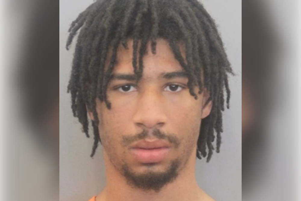 Teen accused of assaulting and robbing elderly woman was on parole for ...
