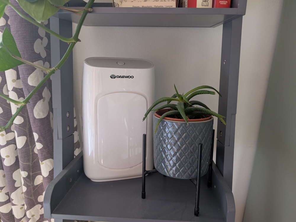 This little dehumidifier fits on small bookshelves (Joanne Lewsley/The Independent)