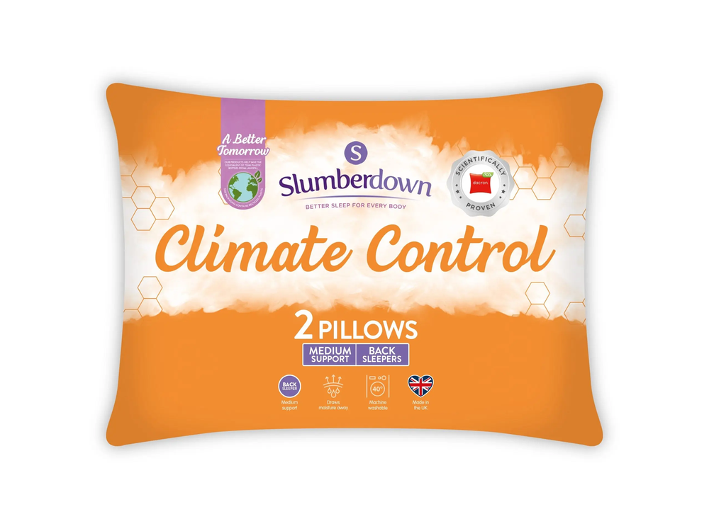 Image from: 6 best cooling pillows for a comfortable night’s sleep, tested by a sleep expert