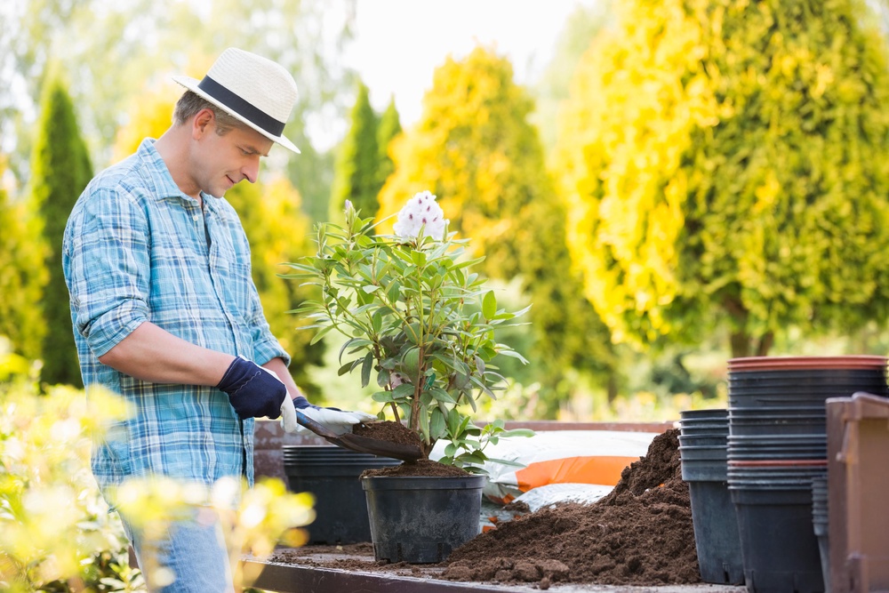Some plants are more likely to thrive in warmer climes (Alamy/PA)