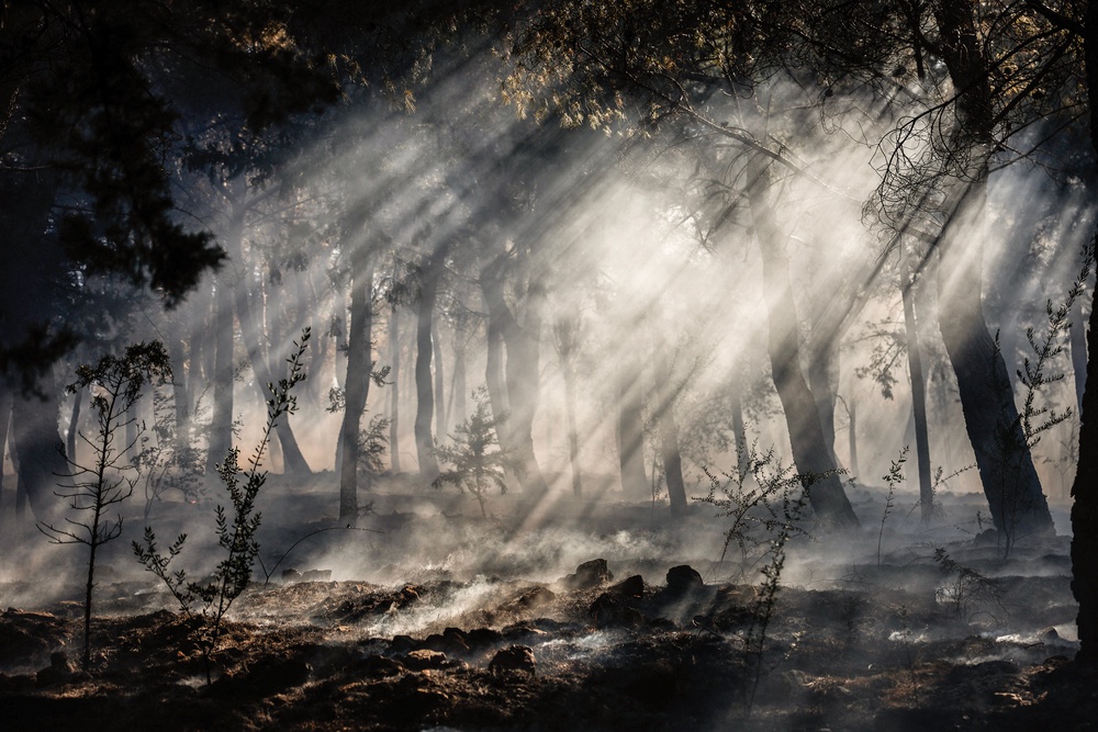 Smoke rises in the undergrowth of a forest during a wildfire on the Greek island of Chios in June 2025. (AFP via Getty Images)