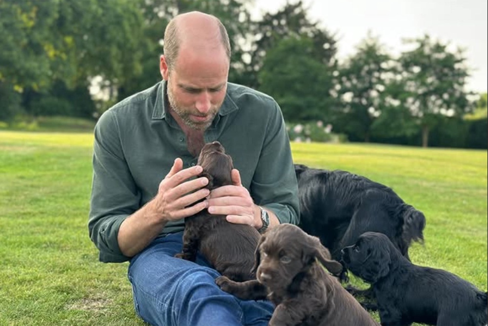 Prince William marked his 43rd birthday on Saturday with a picture of him with cocker spaniel Orla and three of the four puppies she gave birth to last month (Kensington Royal)