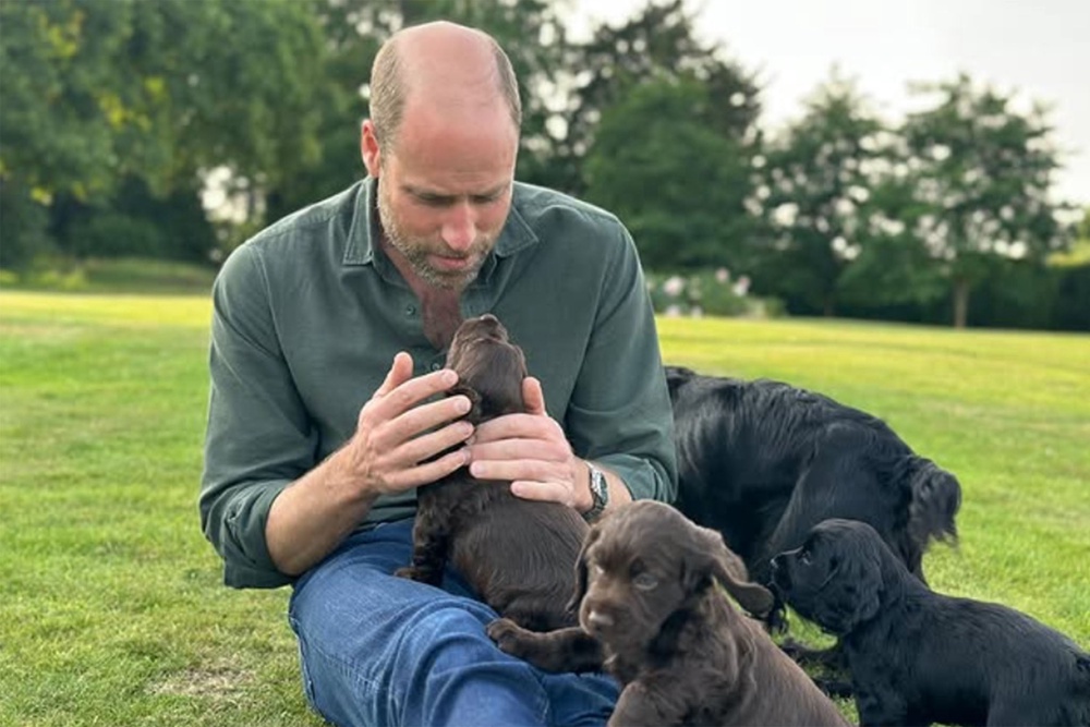 Prince William pictured with Orla’s puppies, including Otto, in June 2025 (Kensington Royal)