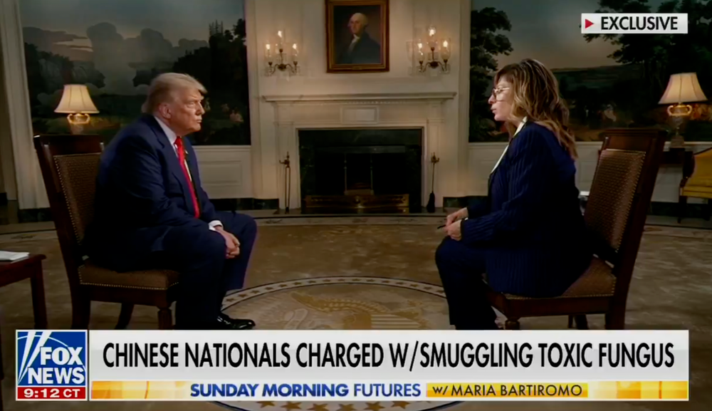 Bartiromo interviewing Trump last year (Fox News)