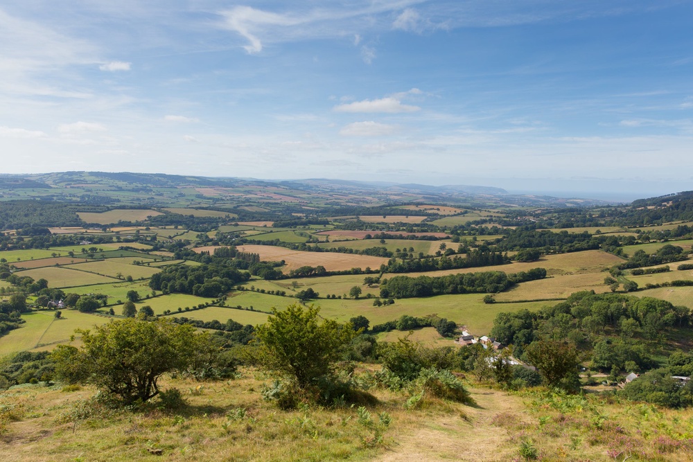 Red deer live in the Quantock Hills, Somerset (Getty/iStock)