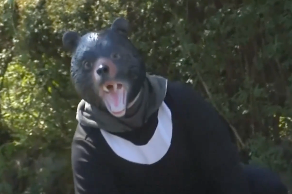 Japanese Hot Spring Worker Goes Missing In Suspected Bear Attack Amid