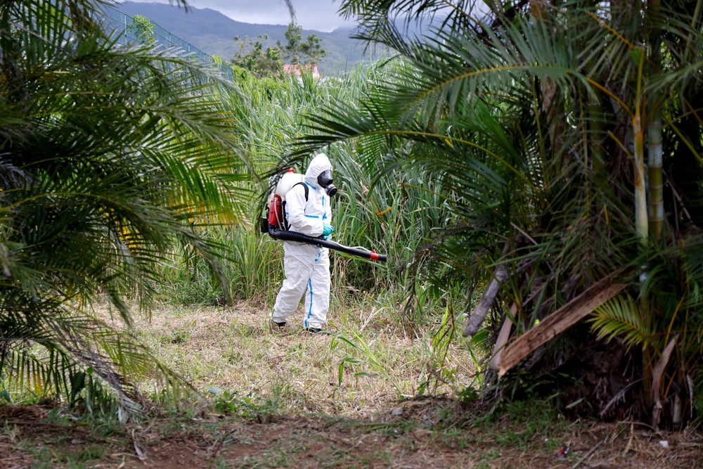 Réunion recorded over 54,550 confirmed cases during a 2025 outbreak (AFP/Getty)