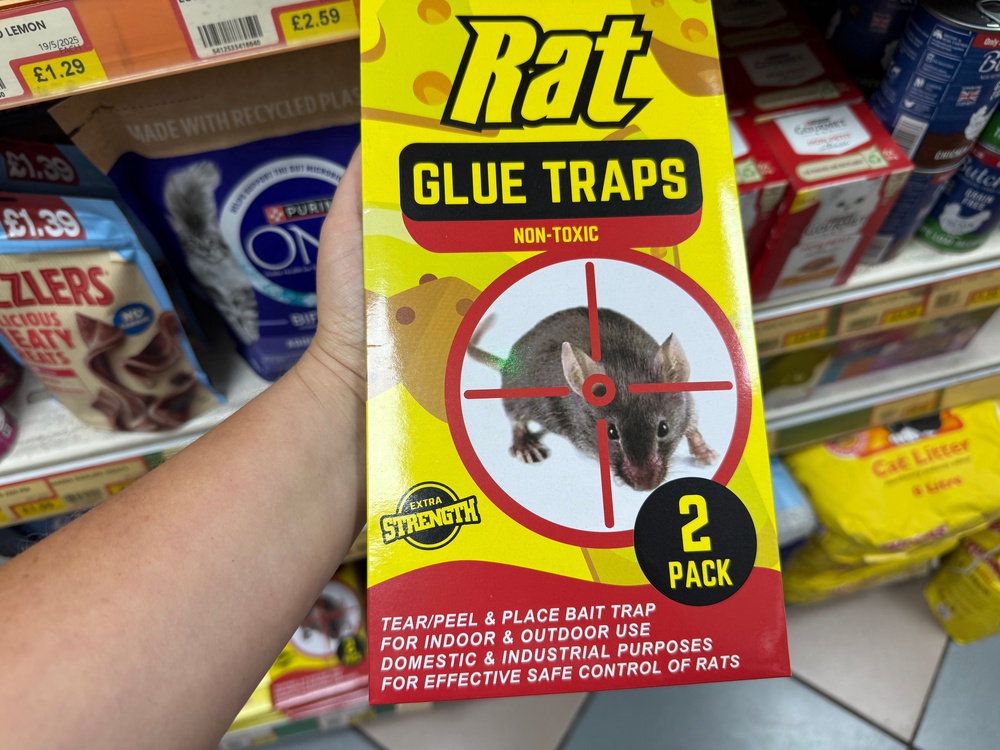 A glue trap for rats. (Humane World for Animals UK)