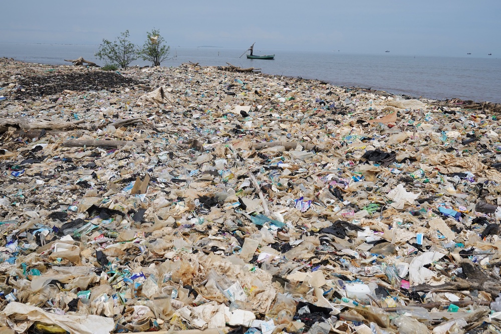 Everyday Plastic is calling on the Government to remove plastic packaging from uncut fruit and vegetables by 2030 (Owen Humphreys/PA)