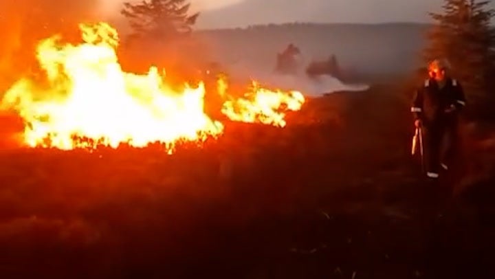 Wildfires devastated parts of North Yorkshire last year (North Moors Moorland Organisation)