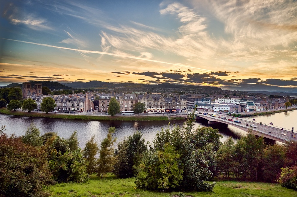 Gulls cause ‘noise, mess, and aggressive behaviour, particularly during breeding season’ in Inverness (Getty/iStock)
