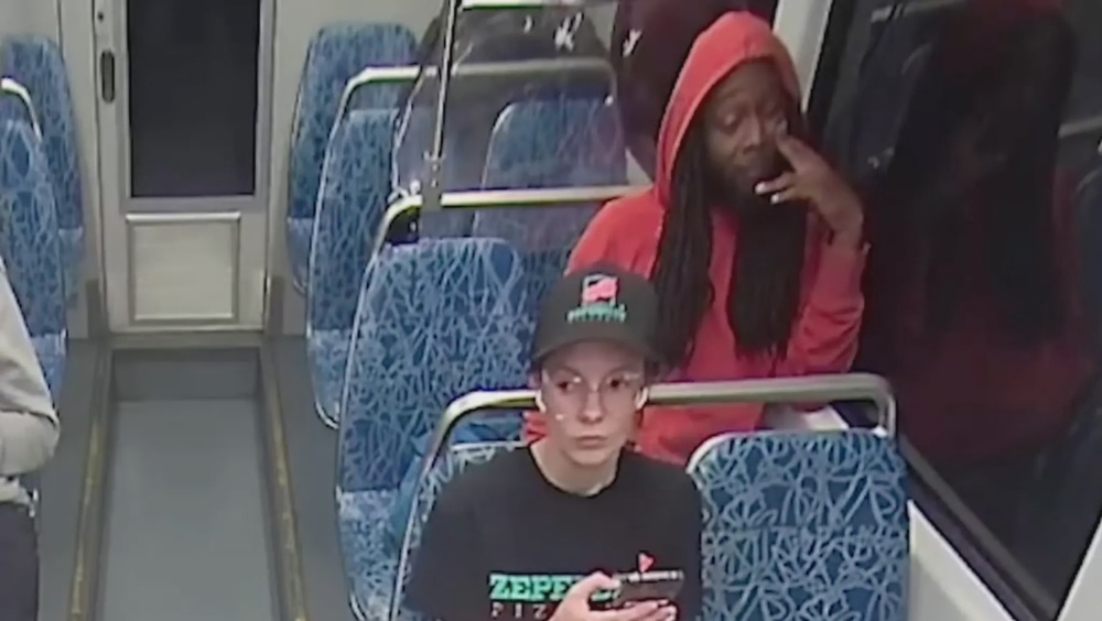 Iryna Zarutska, 23, was stabbed to death on a train in Charlotte, North Carolina, last summer (Charlotte Area Transit System)