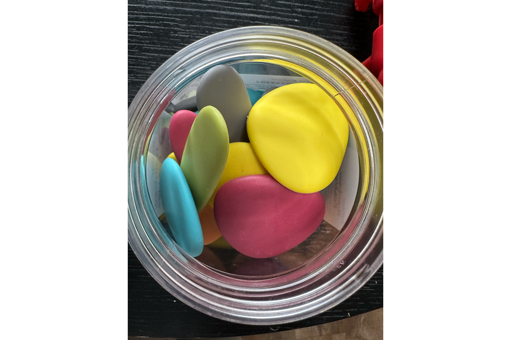 These simple rocks brought a lot of joy (Alicia Miller/The Independent)