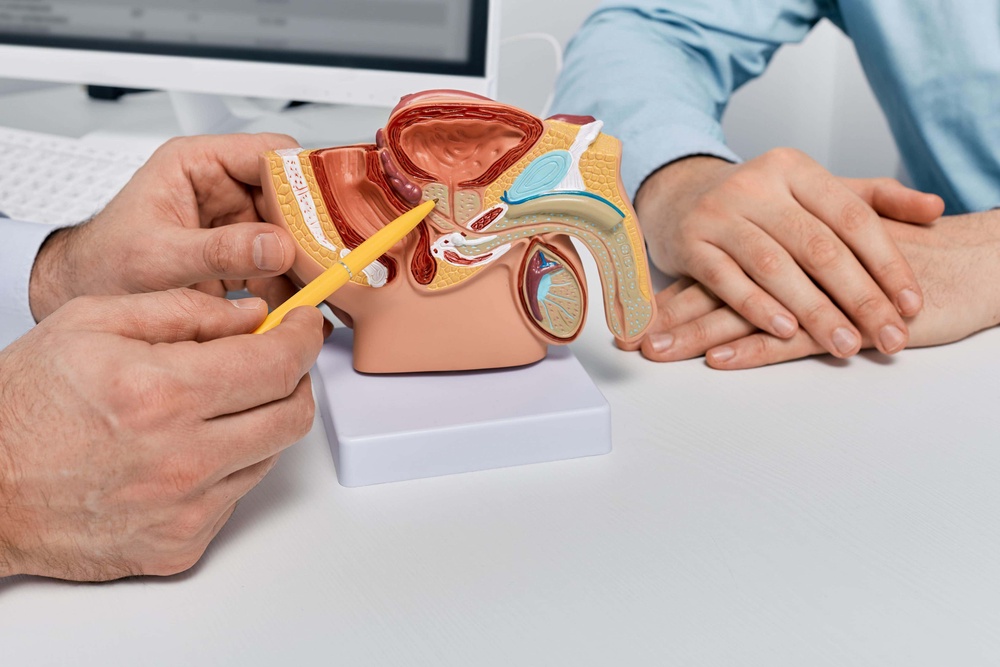 The research team said the next step is to use the findings to develop and test classification systems for prostate cancer tumours using molecular information (Alamy/PA)