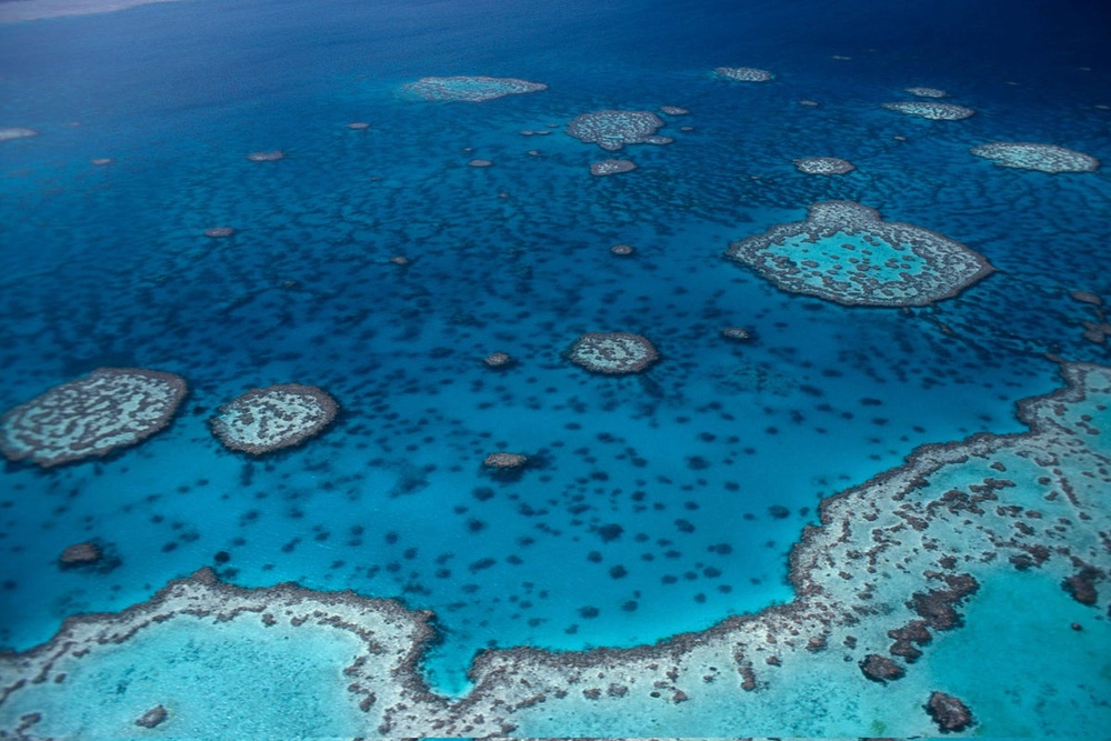 First climate tipping point reached after coral reef diebacks ...