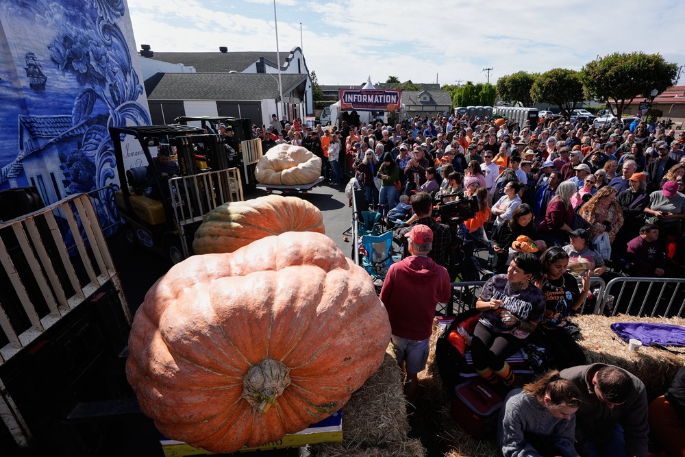 Giant pumpkin growers are gathering in Northern California for an annual pumpkin-weighing contest (Copyright 2025 The Associated Press. All rights reserved)