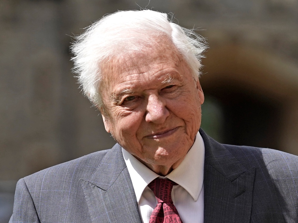 Sir David Attenborough celebrates his 100th birthday on 8 May (Getty)