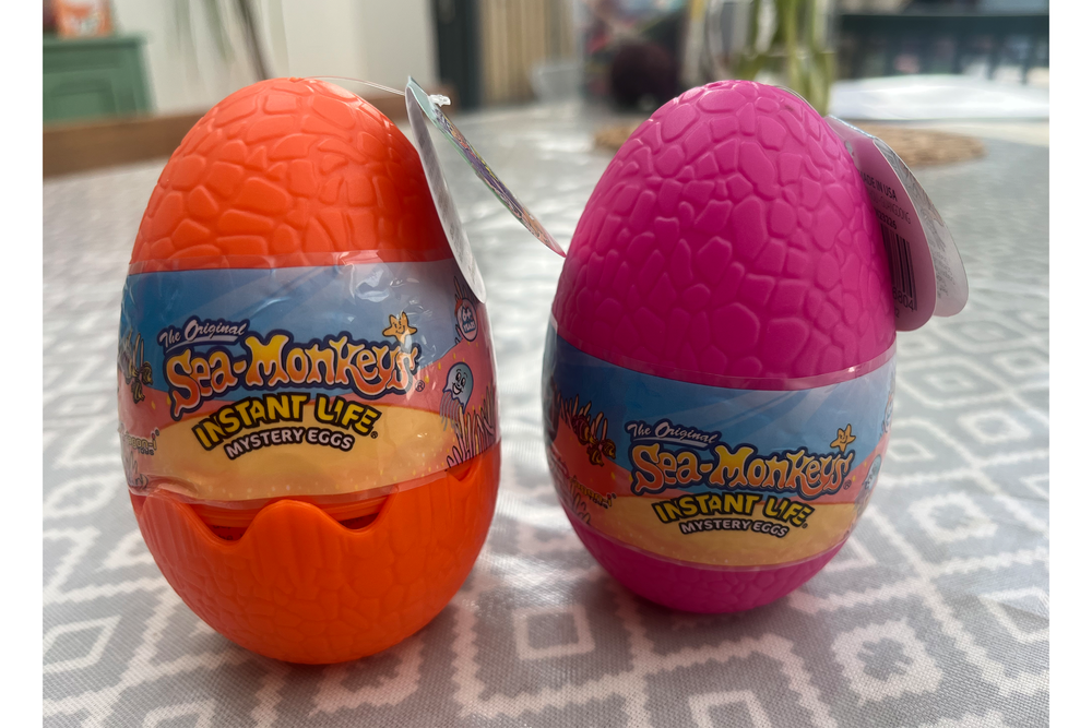 You grow and nuture your own creatures (Kat Storr/The Independent)