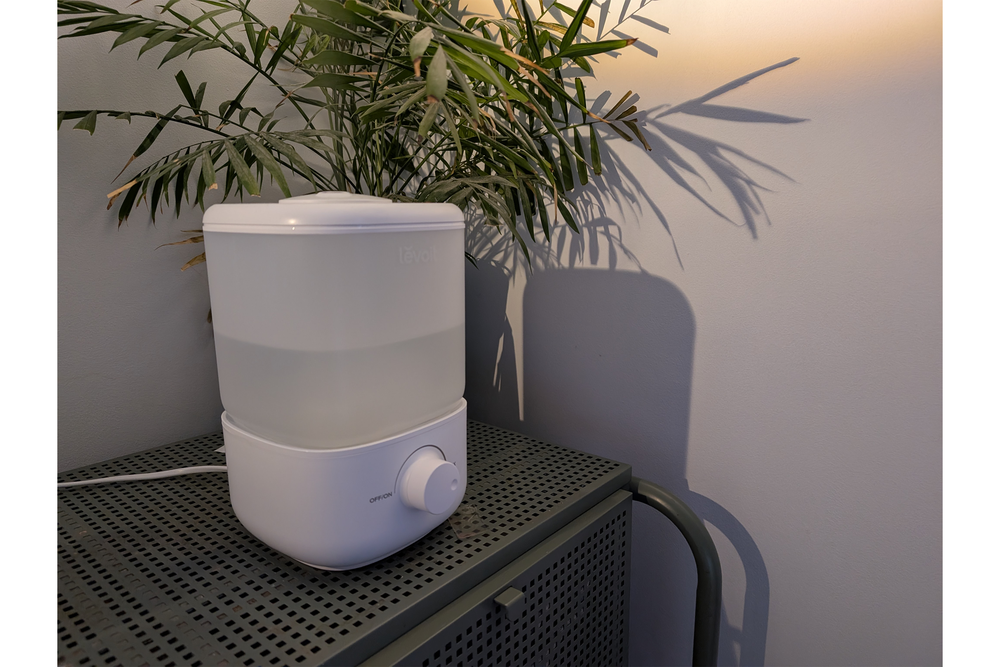 This one is compact and well priced (Joanne Lewsley/The Independent)