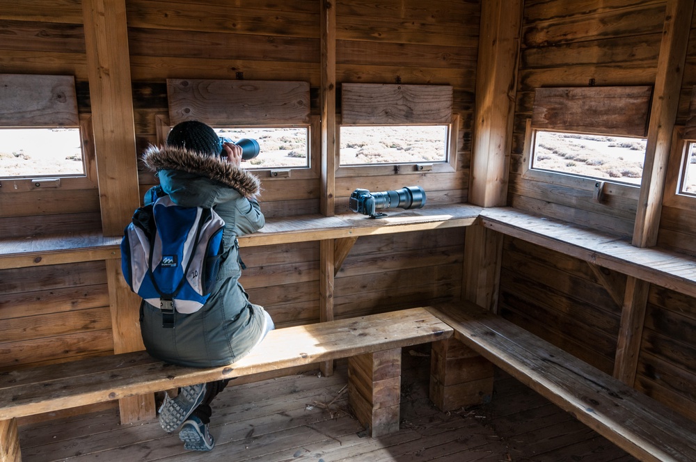 Woman with binoculars looking out in a bird watching tower in Spain (PA)