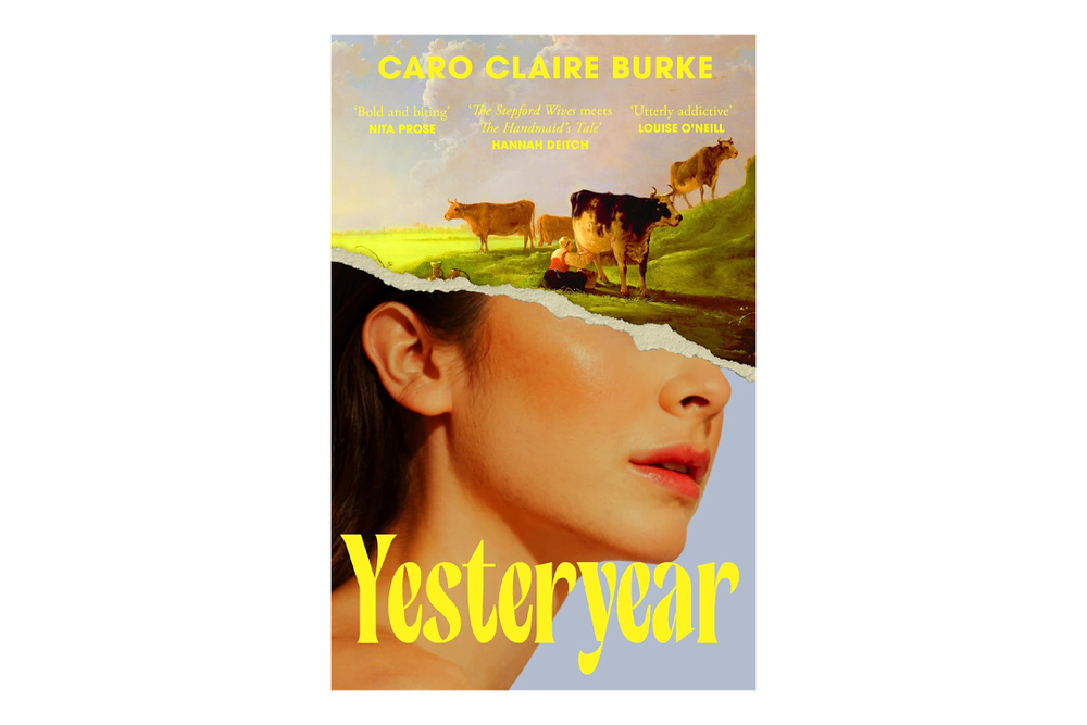 Image from: This buzzy trad wife-inspired novel is about to be everywhere – and its the IndyBest Book Club pick