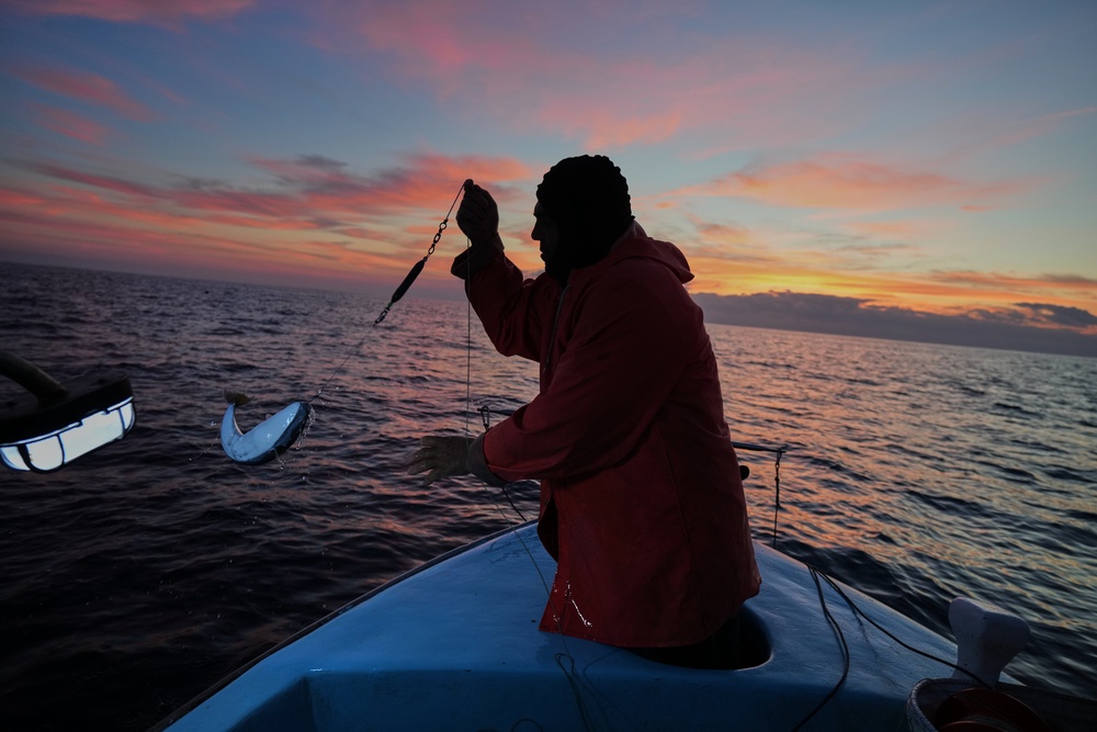 Fisherman Photis Gaitanos catches a toadfish while fishing from his boat off the coast of Larnaca, Cyprus (Copyright 2025 The Associated Press. All rights reserved)