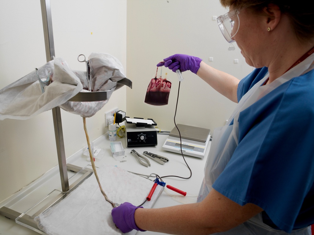 At the time of the 2014 survey, men could not donate blood if they had had sex of any kind with a man within the last 12 months (NHSBT)