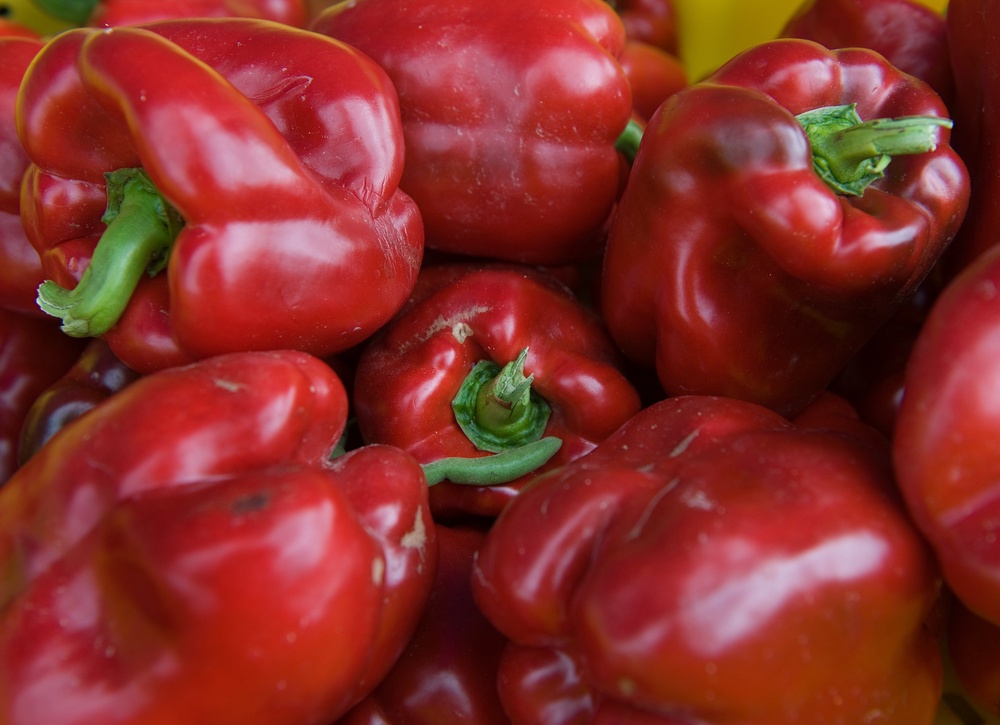 The heat has allowed a larger variety of vegetables to be grown in the UK without extra equipment (AFP/Getty)