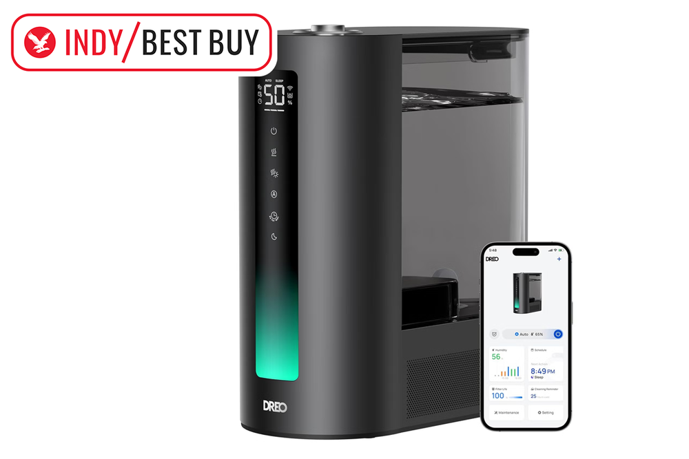Image from: 8 best humidifiers to combat dry air, congestion and irritated skin