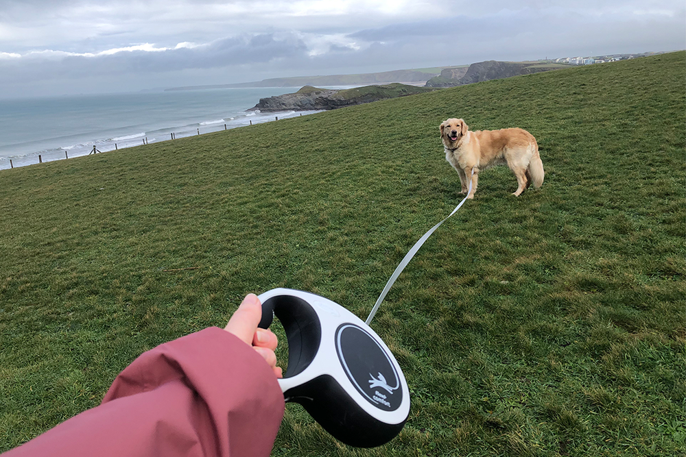 My golden retriever Lowen and I took the leads for a spin (Abby Driver/The Independent)